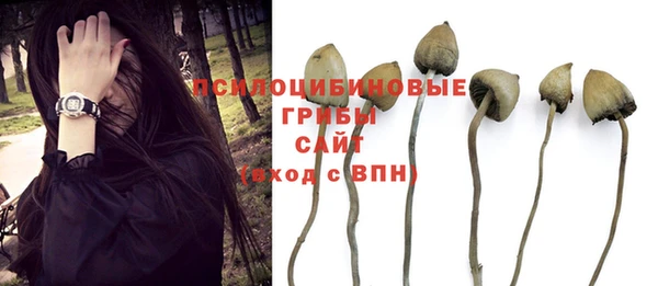 бошки Богородицк