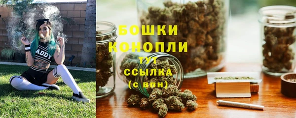 амф Богданович