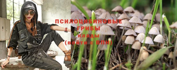 бошки Богородицк