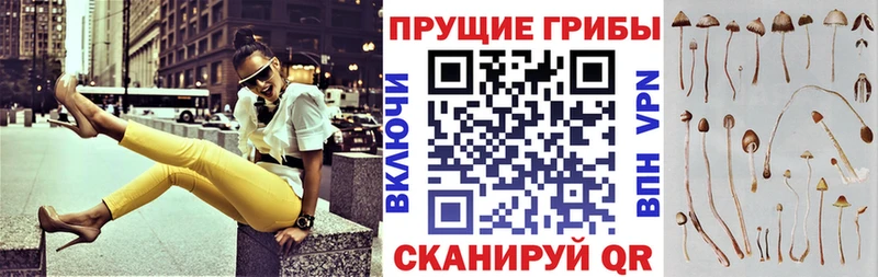 Галлюциногенные грибы мухоморы  Купить где  Спасск 